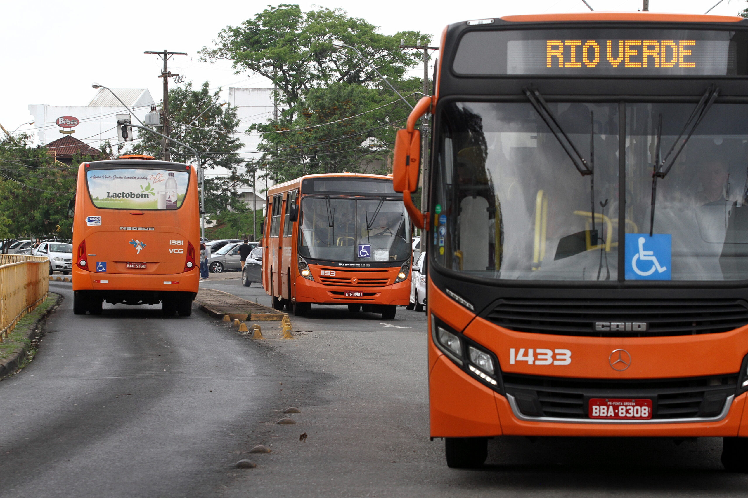 Ônibus do transporte coletivo circulam pelas ruas de Ponta Grossa