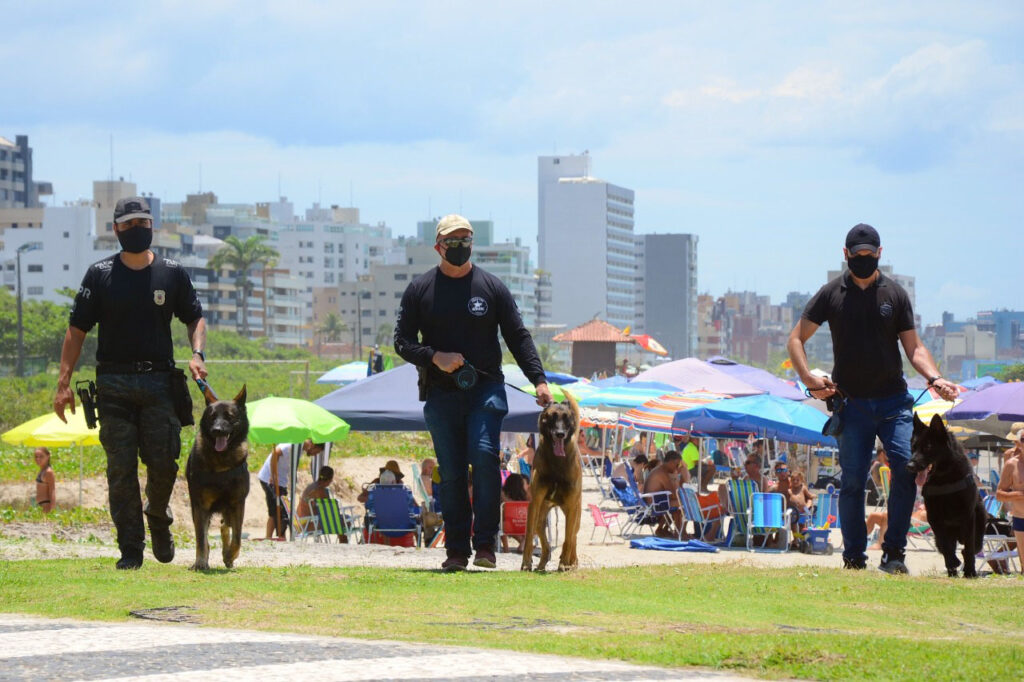 Foto do passeio dos cães policiais do Paraná.