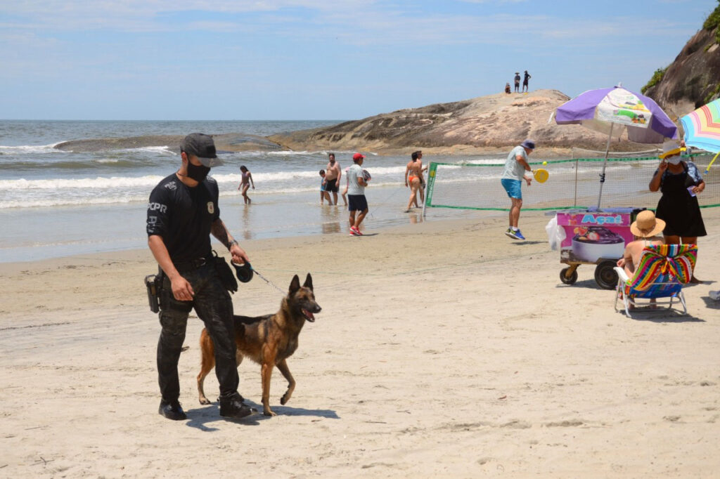 Foto do passeio dos cães policiais do Paraná.