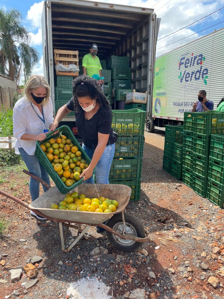 Foto do programa Feira Verde de Ponta Grossa