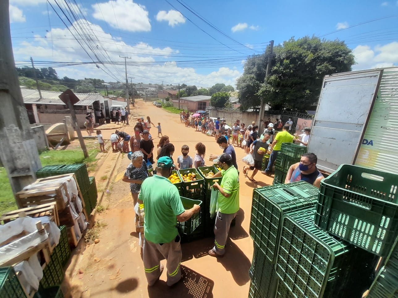 Foto do programa Feira Verde de Ponta Grossa