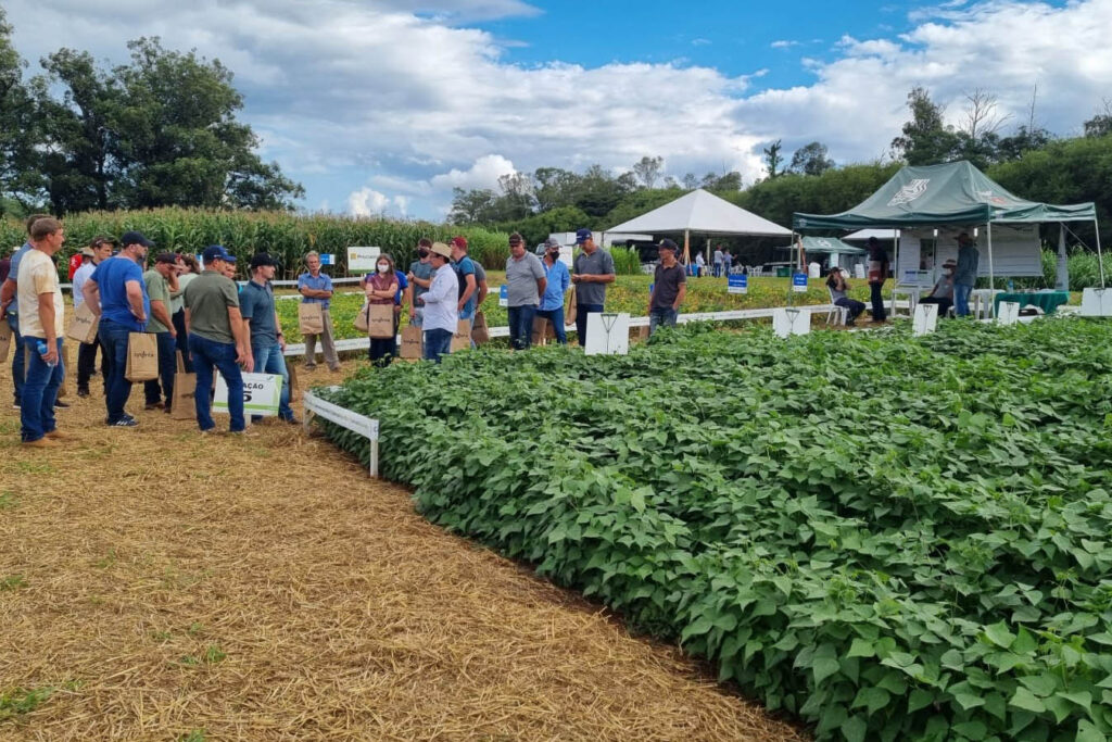 Semana de Campo do IDR-Paraná em Ponta Grossa 