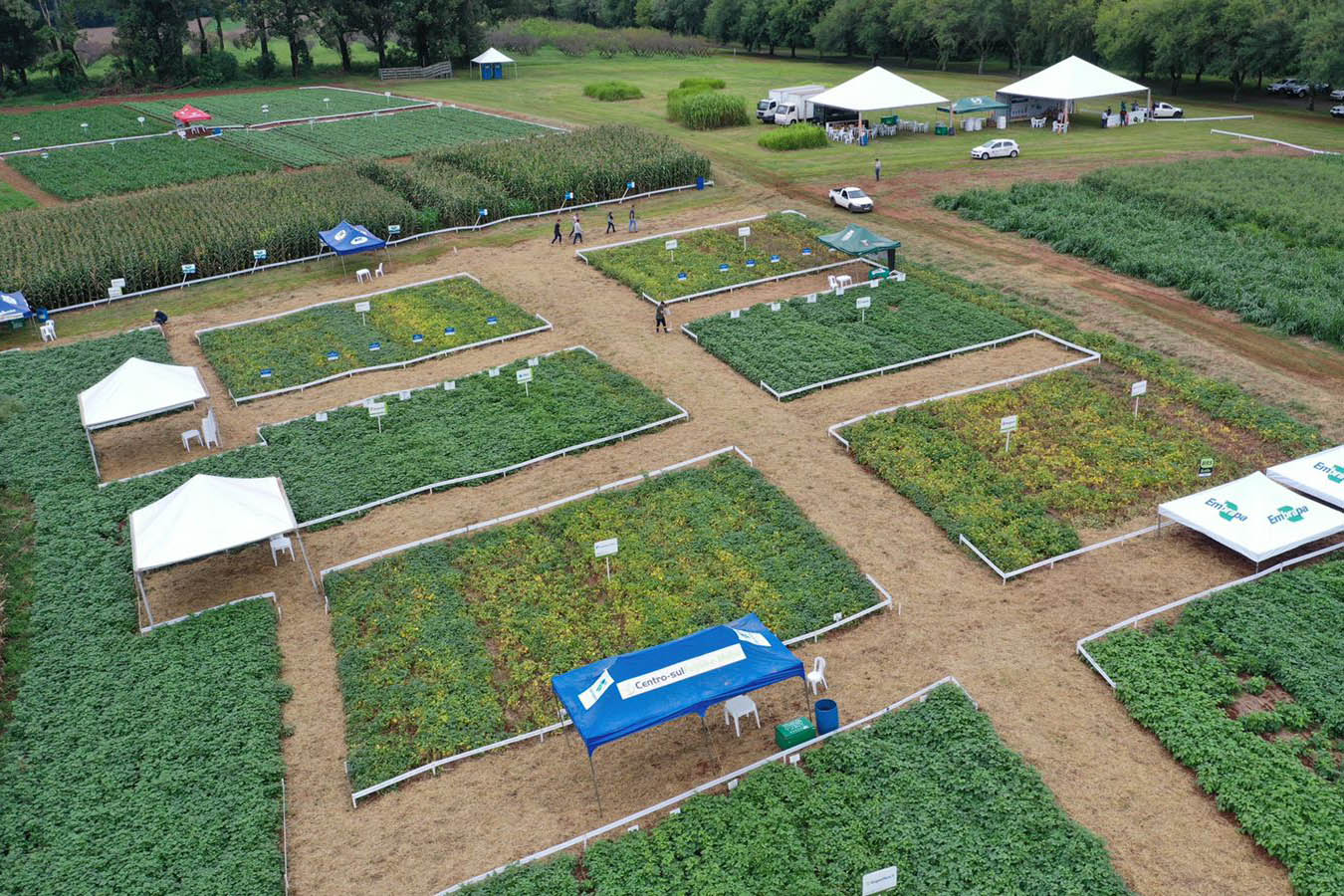 Semana de Campo do IDR-Paraná em Ponta Grossa