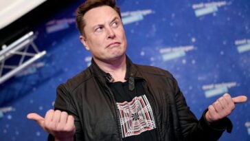 Foto de elon musk, que respondeu um internauta