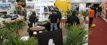 Foto do estanda da Esfinge na 17ª Expoimóveis, promovida em 2021 em Ponta Grossa