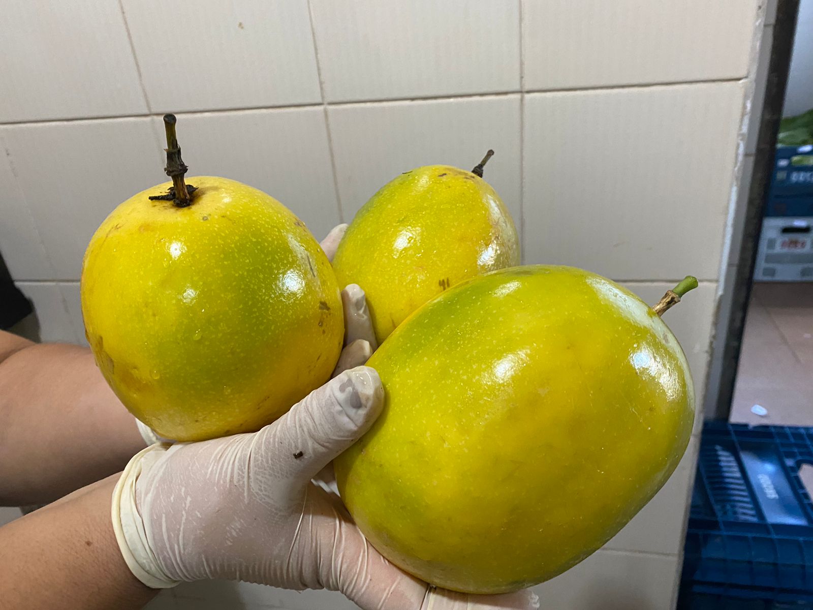 Foto de maracujás da merenda escolar de Arapoti