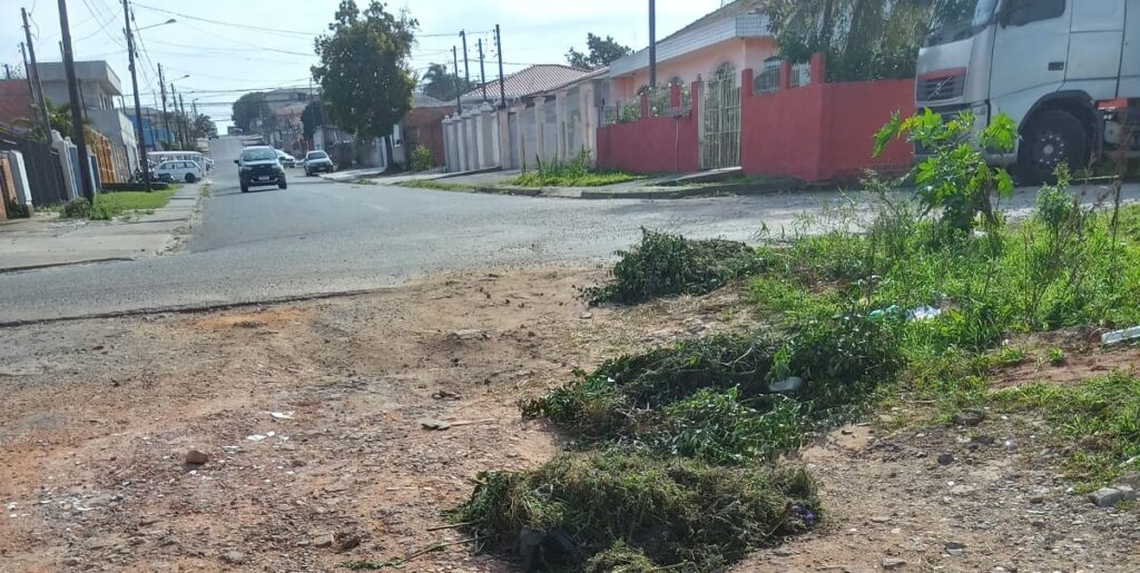 Moradores jogam mato para cobrir buracos em rua de PG 