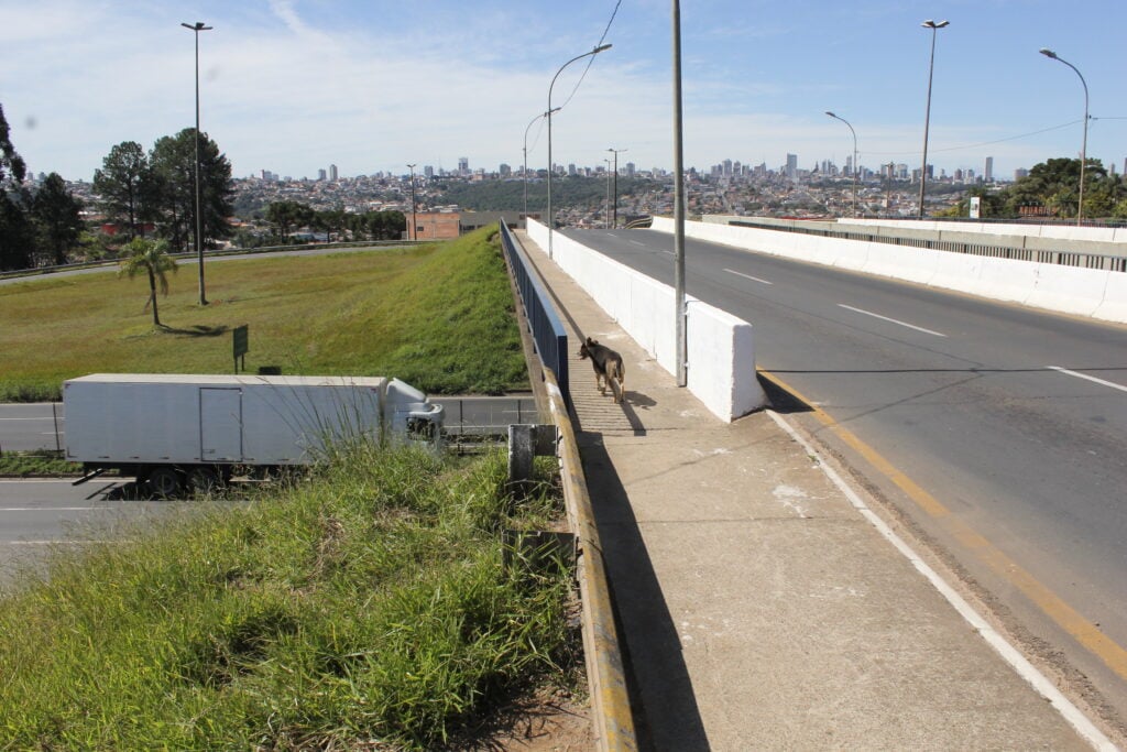 Vereador quer nome de radialista em viaduto de PG