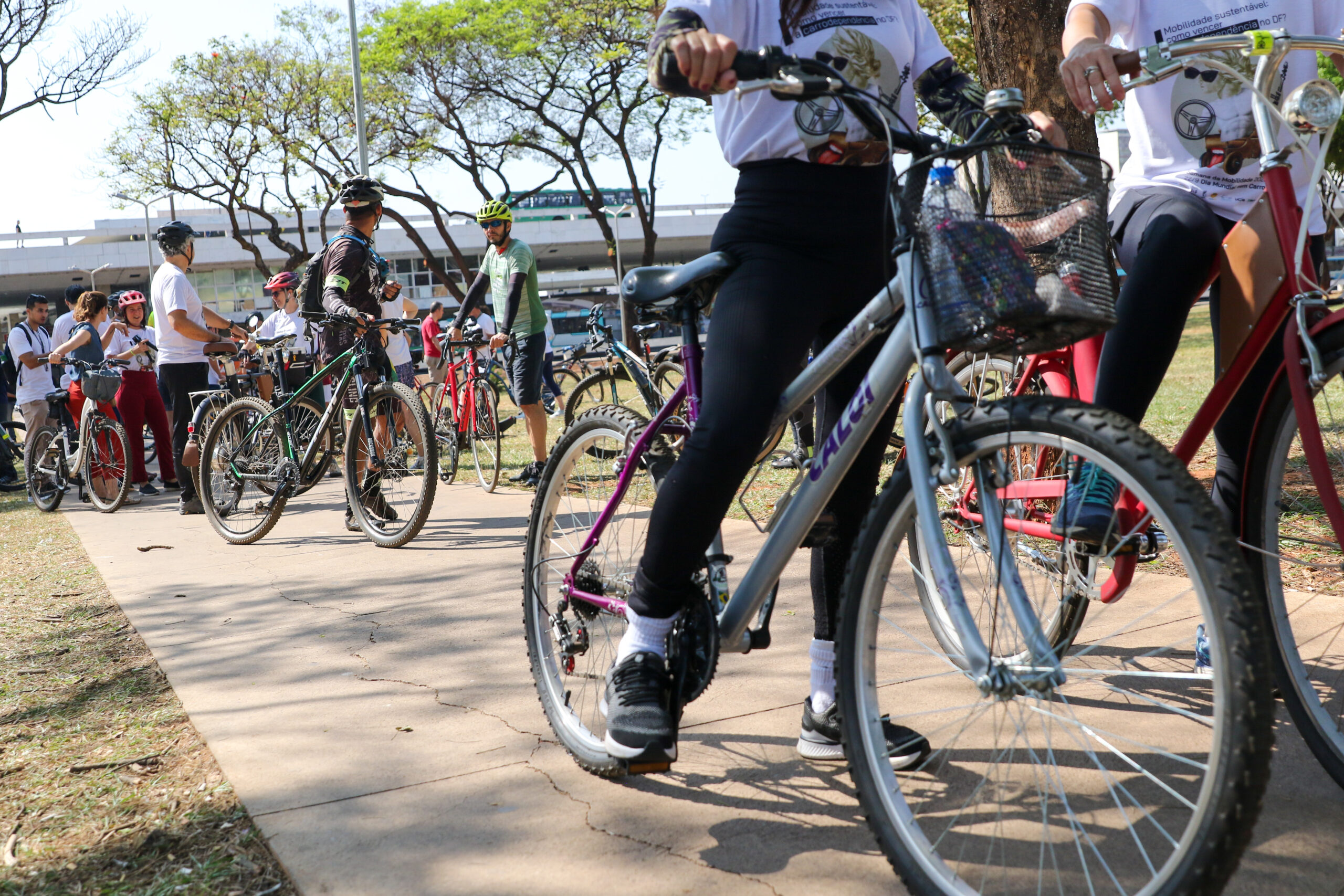 Bicicletas em praça.