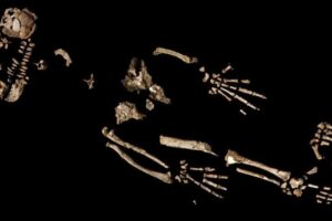 © Foto / T.D. White et al. / Science 2009