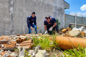 Combate a escorpião em PG