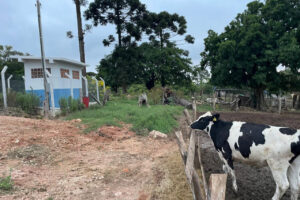 Área rural