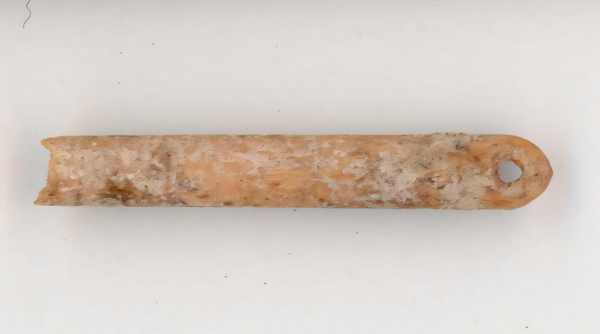 Agulha de osso de raposa vermelha de 13.000 anos descoberta por arqueólogos da Universidade de Wyoming Agulha de osso de raposa vermelha de 13.000 anos descoberta por arqueólogos da Universidade de Wyoming - Sputnik Brasil, 1920, 03.12.2024