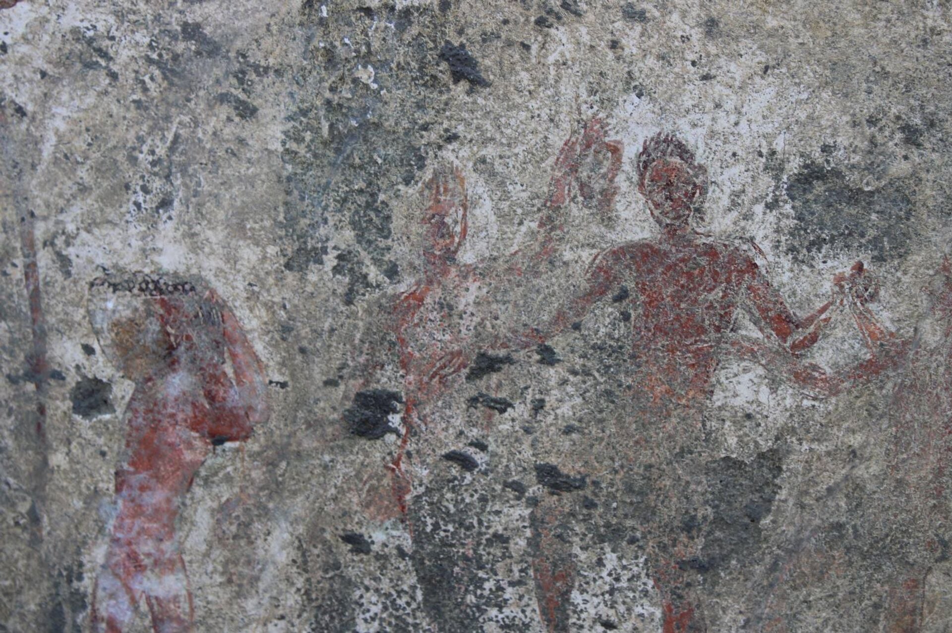 Detalhe das pinturas descobertas na Villa Cuomo Detalhe das pinturas descobertas na Villa Cuomo - Sputnik Brasil, 1920, 07.03.2025