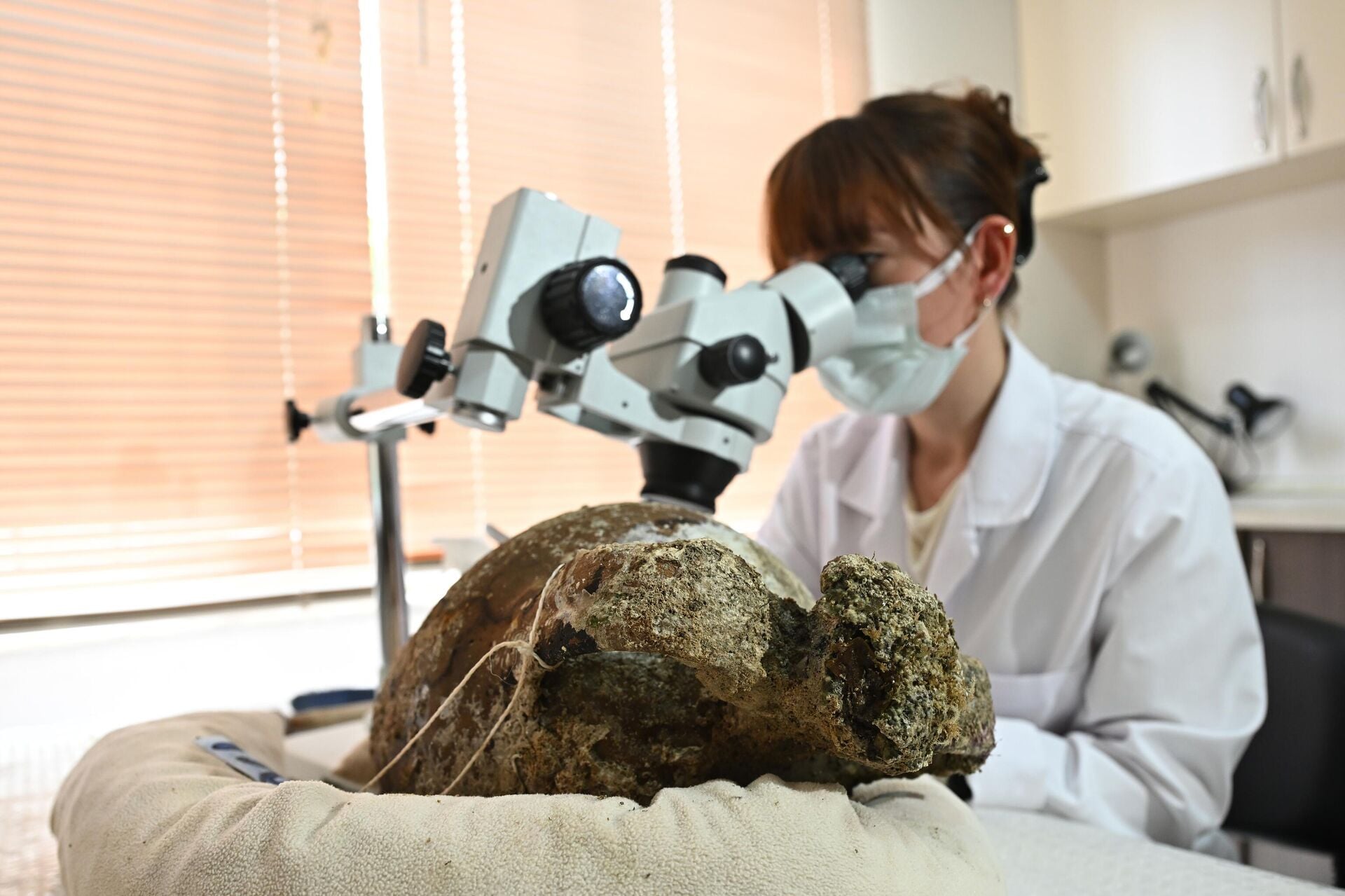 Especialista trabalha na ânfora selada (um jarro usado na antiguidade) de 1.100 anos, que foi removida de um naufrágio durante escavações subaquáticas realizadas com a ajuda de robôs na costa de Kas, Antália, Turquia, 22 de abril de 2025 - Sputnik Brasil, 1920, 28.04.2025