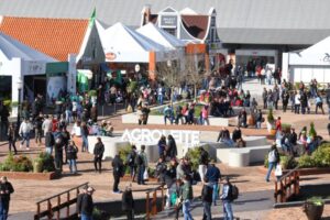 agroleite 2022