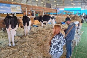 Animais também participam da exposição do Agroleite
