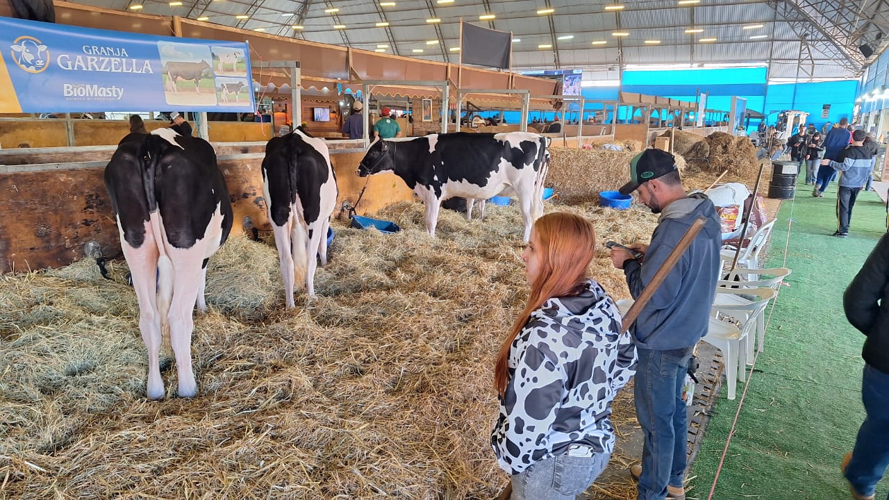 Animais também participam da exposição do Agroleite