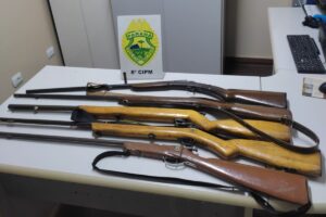 Cinco espingardas apreendidas em Inácio Martins