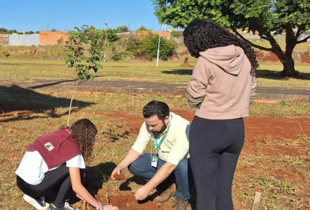 Arteris refloresta