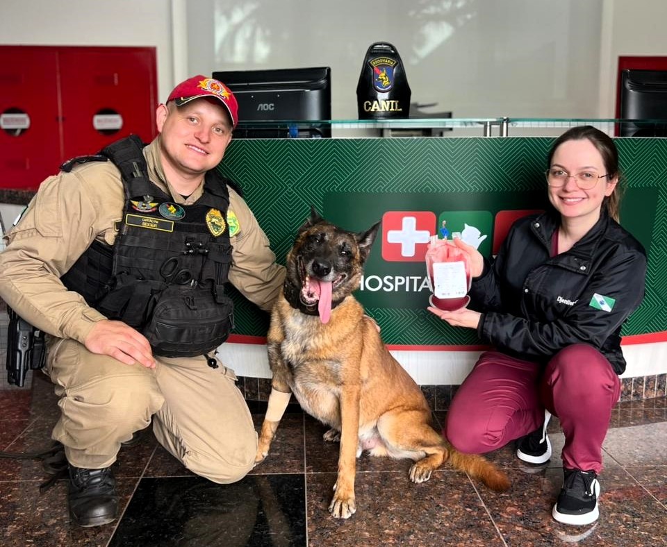 Cão policial Átila ao lado do tutor
