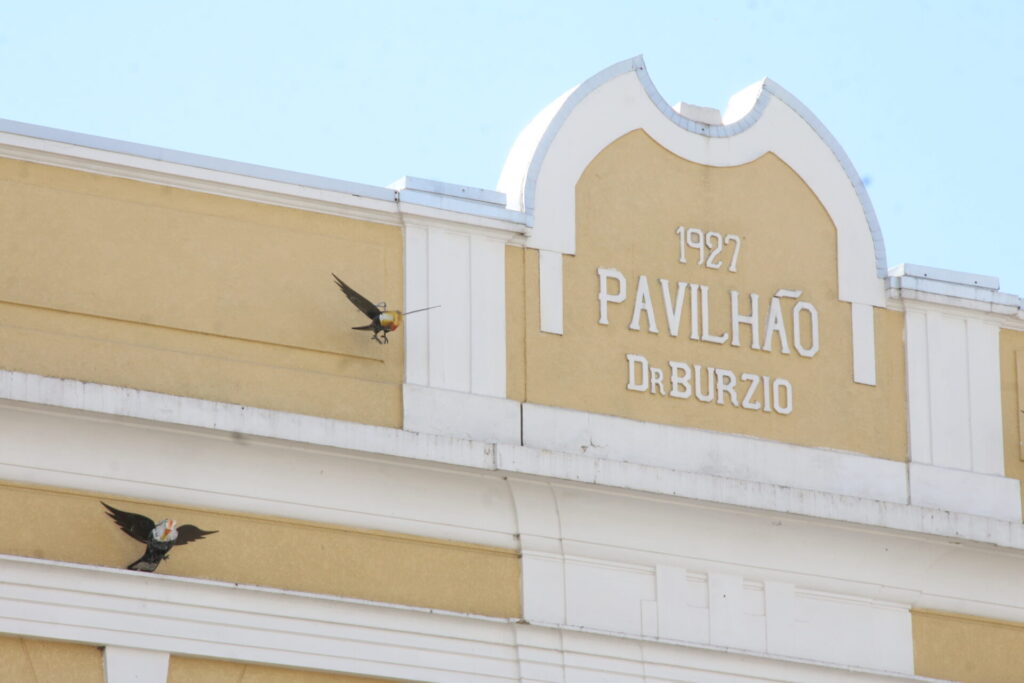 Gaviões de madeira instalados na fachada da Santa Casa de Ponta Grossa
