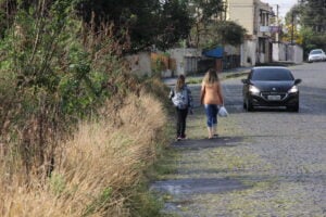 Rua com terrenos e mato ilustra Notificação de Limpeza deTerrenos