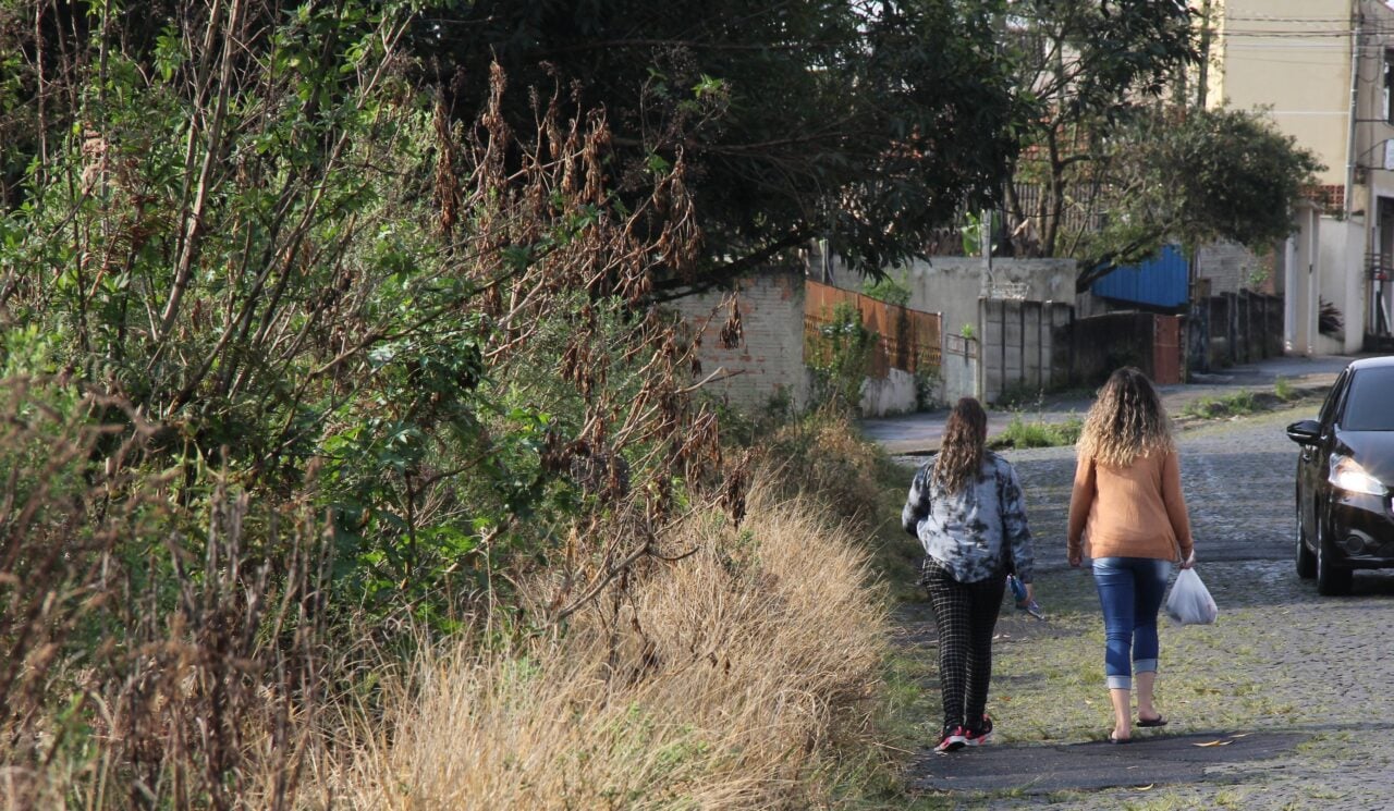Terreno sujo leva a autuação para proprietários em PG