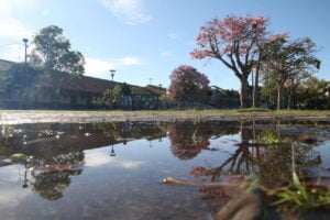 Foto do Ambiental ilustra previsão do tempo