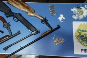 Apreensão de armas Piraí do Sul