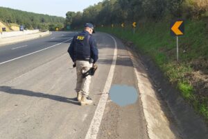Cabeça humana rodovia