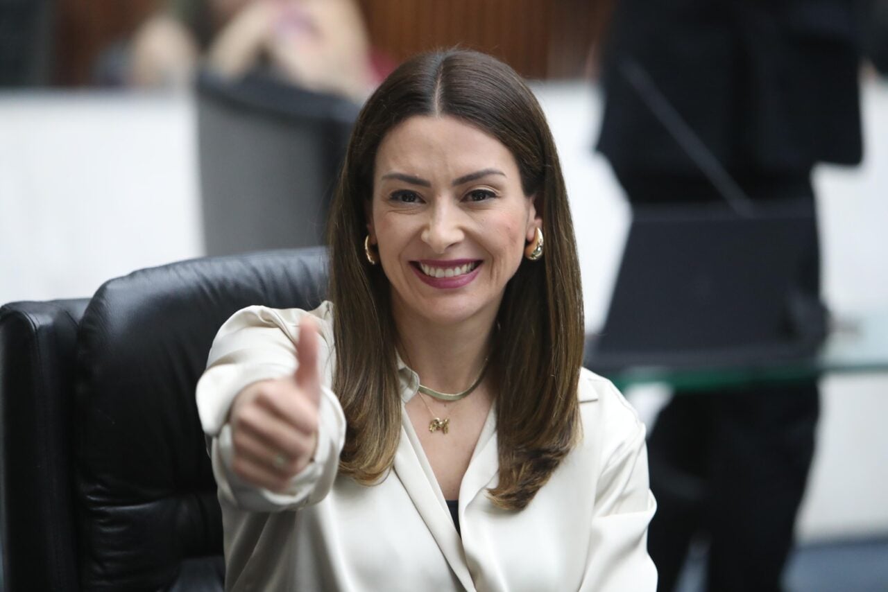 Deputada estadual Mabel Canto na Assembleia Legislativa do Paraná