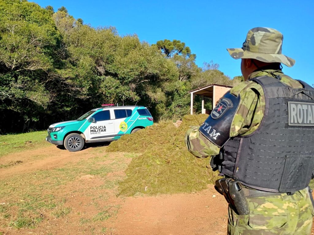 Policial observa carga de musgo apreendida em Guarapuava