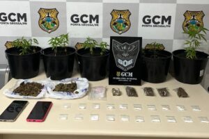 Maconha e cocaína