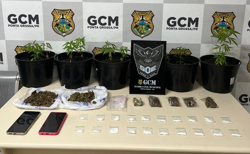 Maconha e cocaína