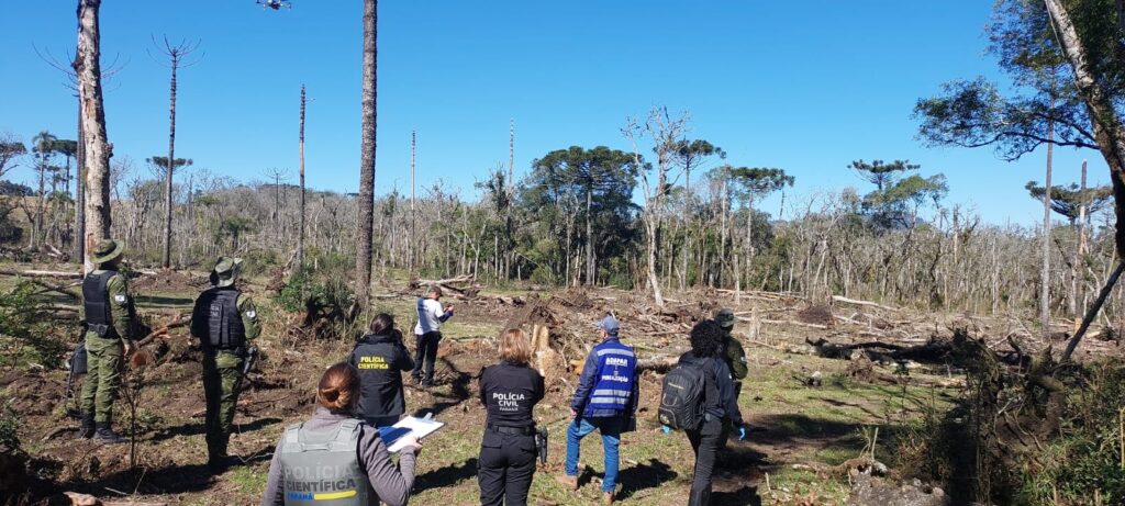 Crime ambiental_mata atlantica_rio azul