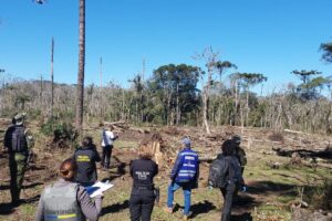Crime ambiental_mata atlantica_rio azul