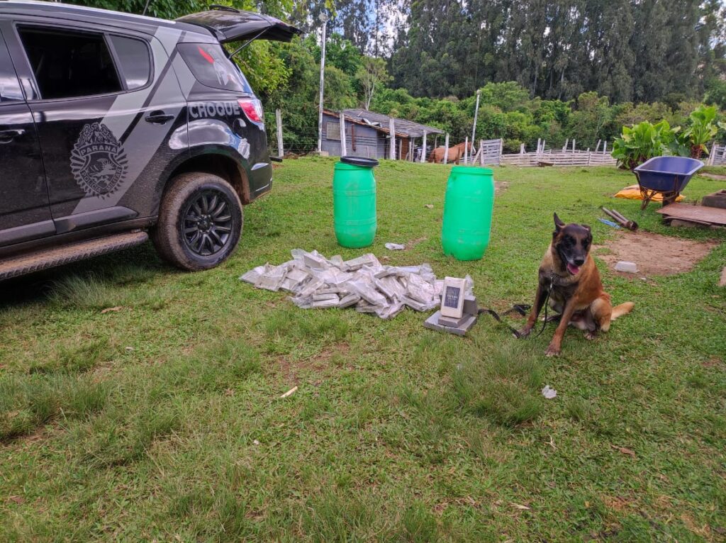 52 quilos de drogas