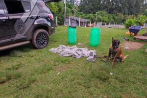 52 quilos de drogas