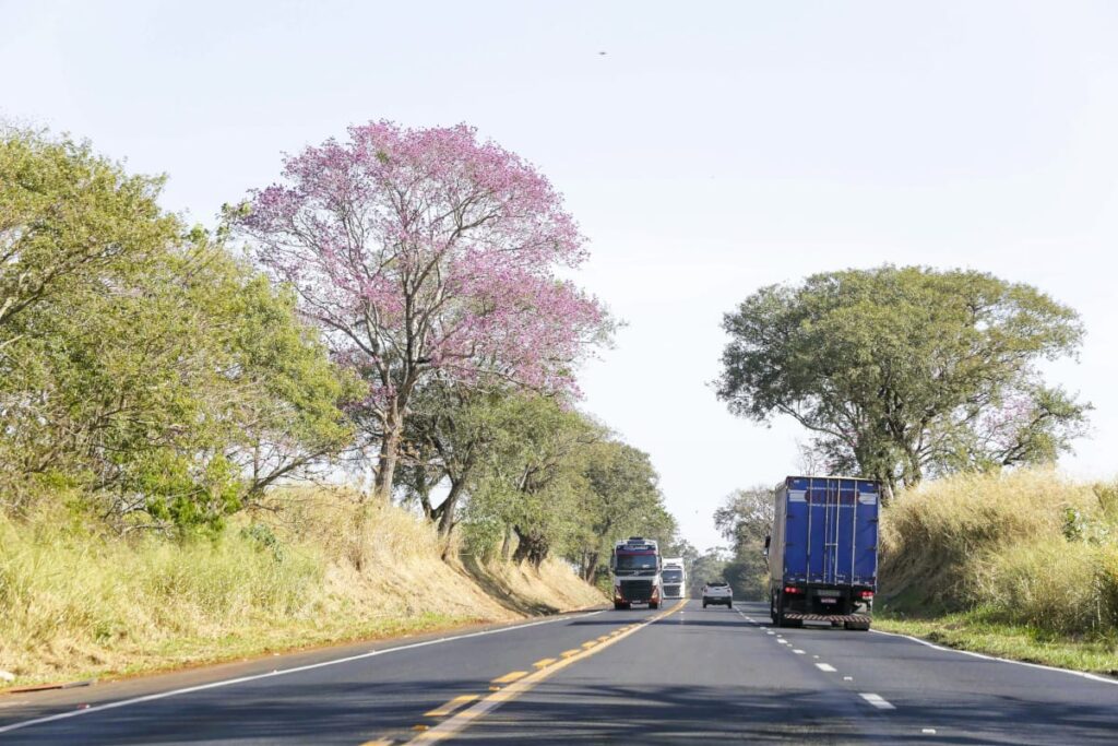 Férias escolares