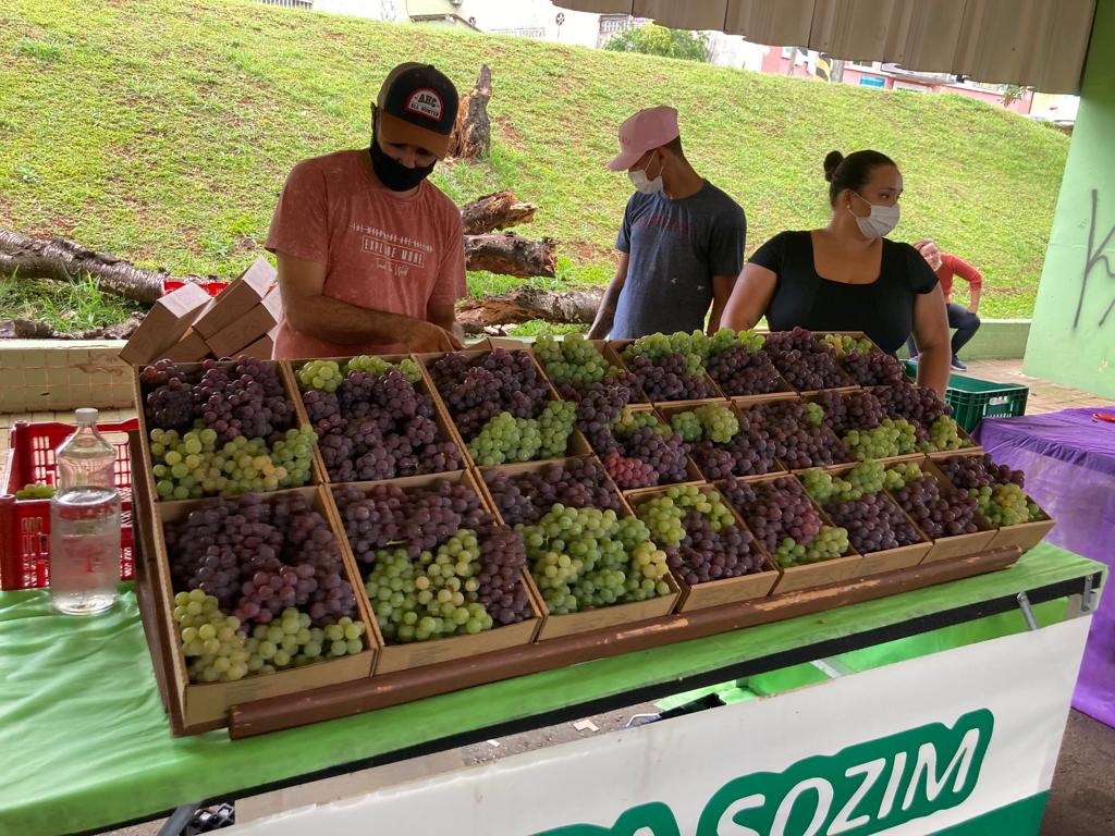 Produtores comercializam uva em Ponta Grossa