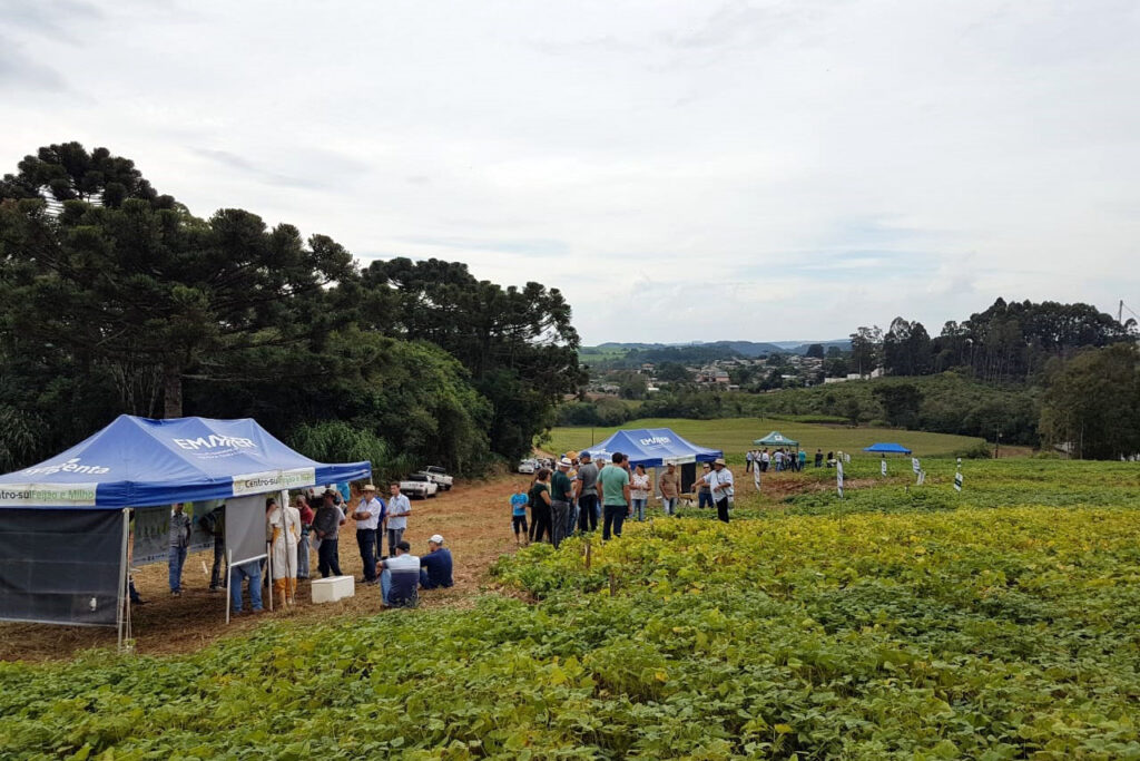 Foto do IDR, da Semana de Campo em Ponta Grossa