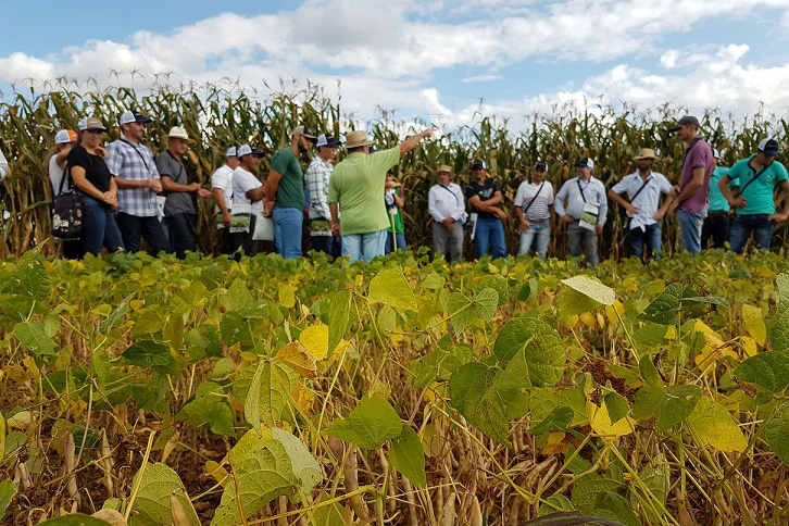 Foto do IDR, da Semana de Campo em Ponta Grossa