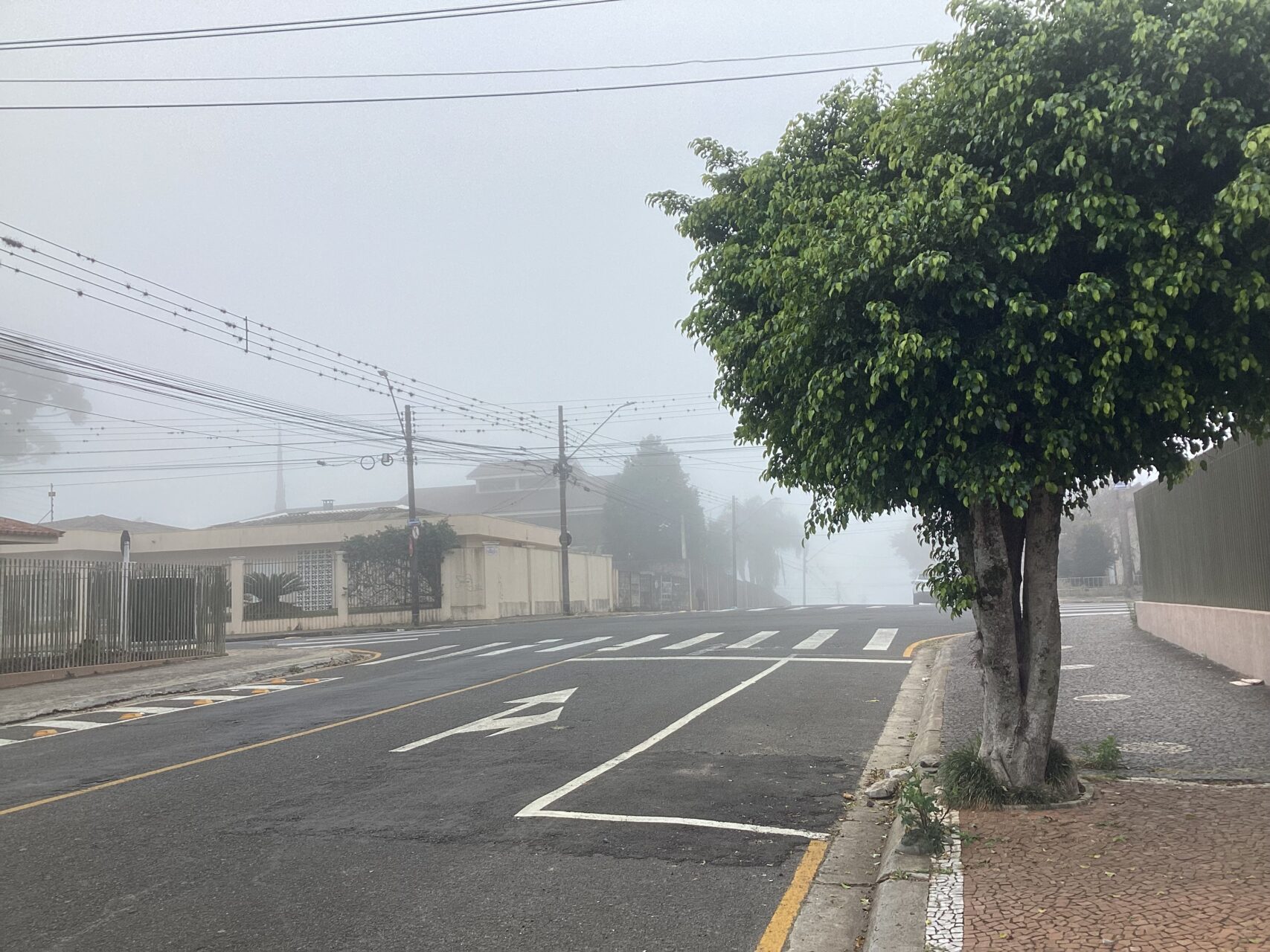 Previsão do tempo em pg.