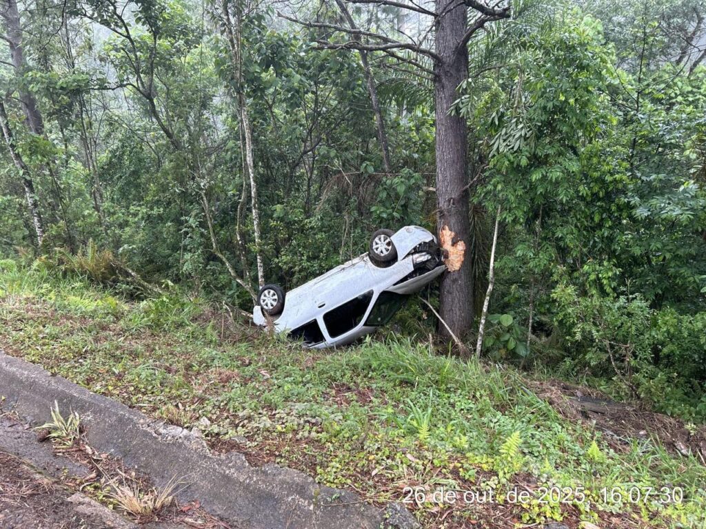 Carro colidiu contra árvore