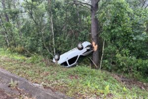 Carro colidiu contra árvore