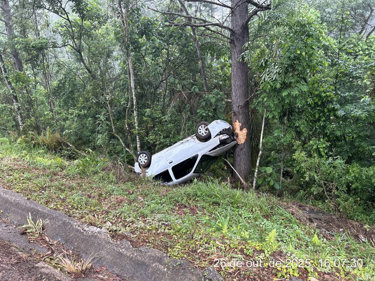 Carro colidiu contra árvore