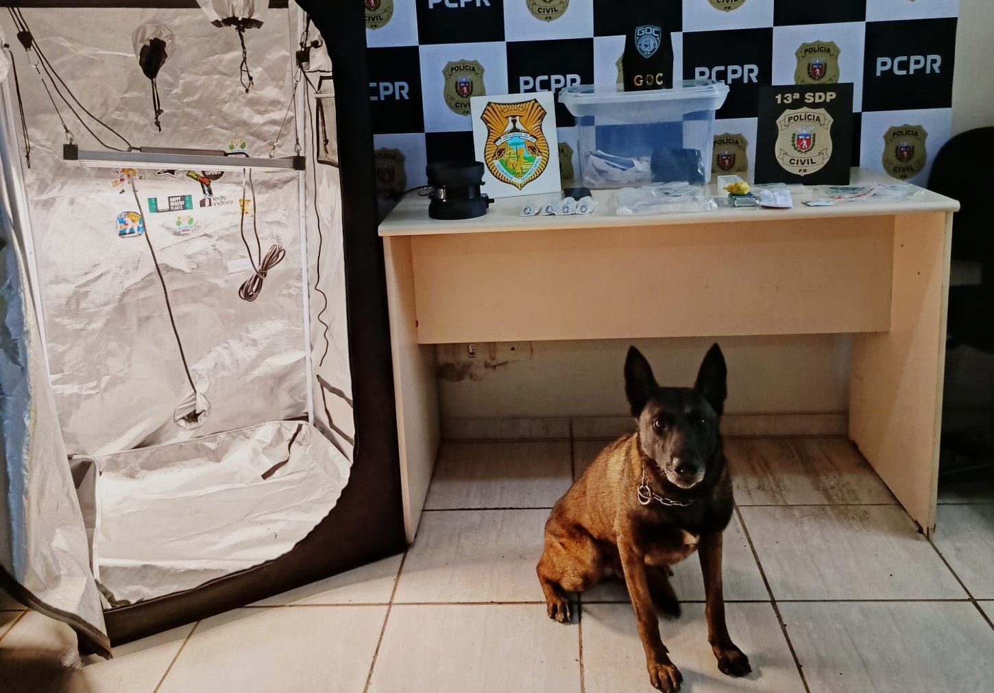 Casa tinha uma estufa para produção de drogas
