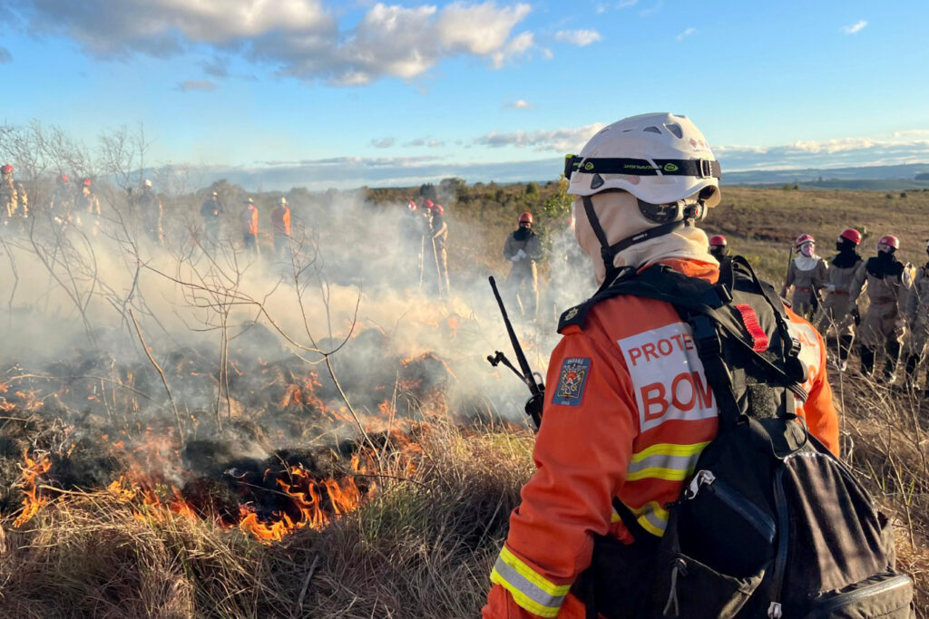 CBMPR intensifica treinamentos de Manejo Integrado do Fogo contra incêndios florestais