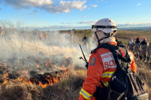 CBMPR intensifica treinamentos de Manejo Integrado do Fogo contra incêndios florestais
